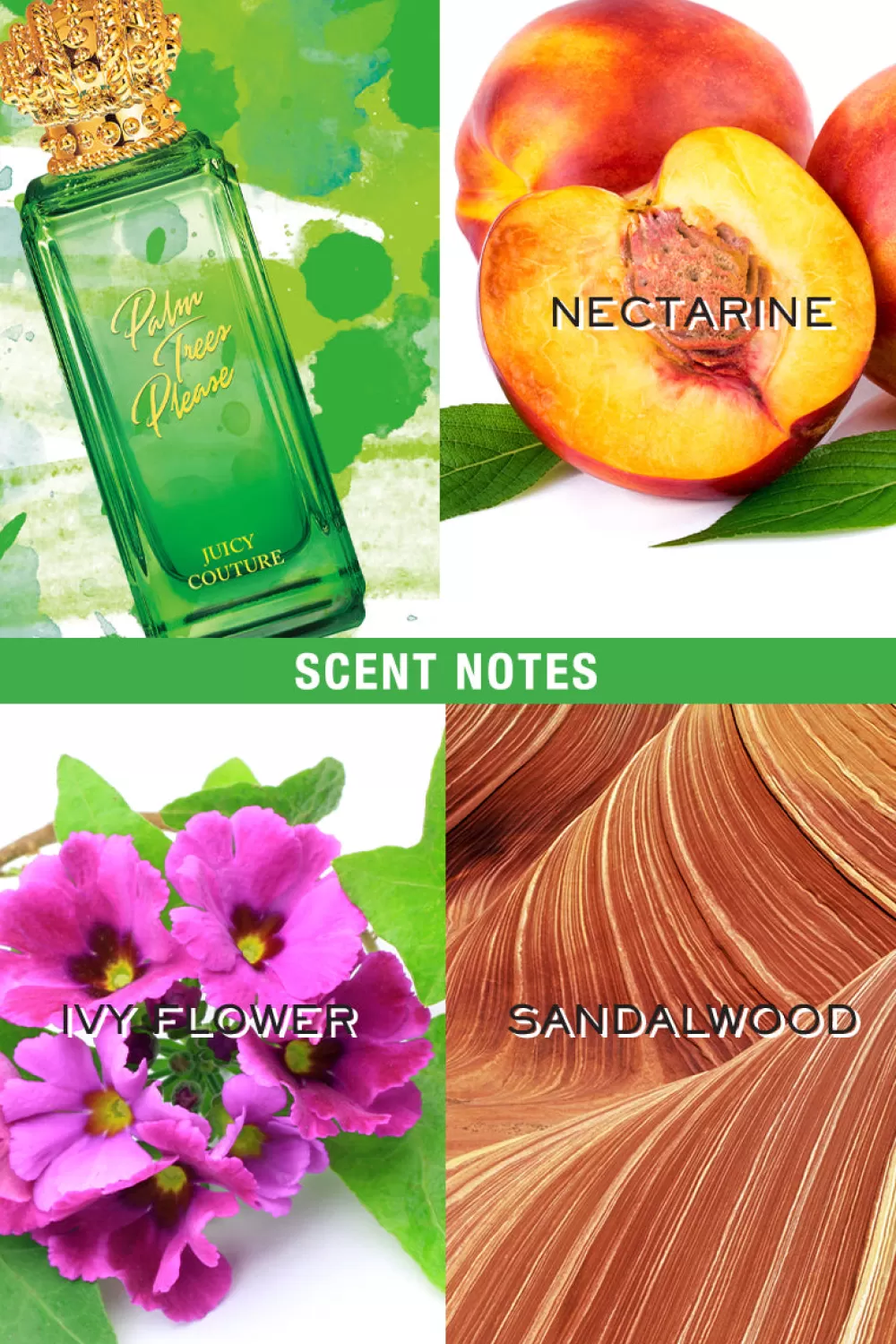Juicy Couture Perfume^Rock the Rainbow Palm Trees Please Eau de Toilette Spray 2.5 oz